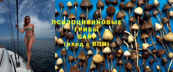 мяу мяу кристалл Богданович
