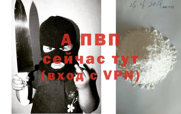 стафф Бронницы