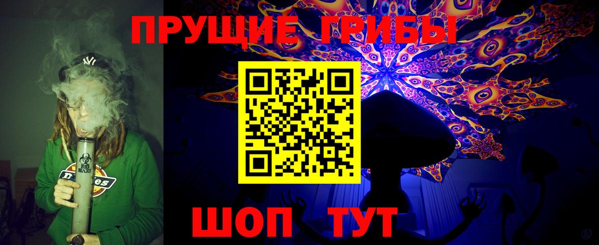 Псилоцибиновые грибы Psilocybe Обь